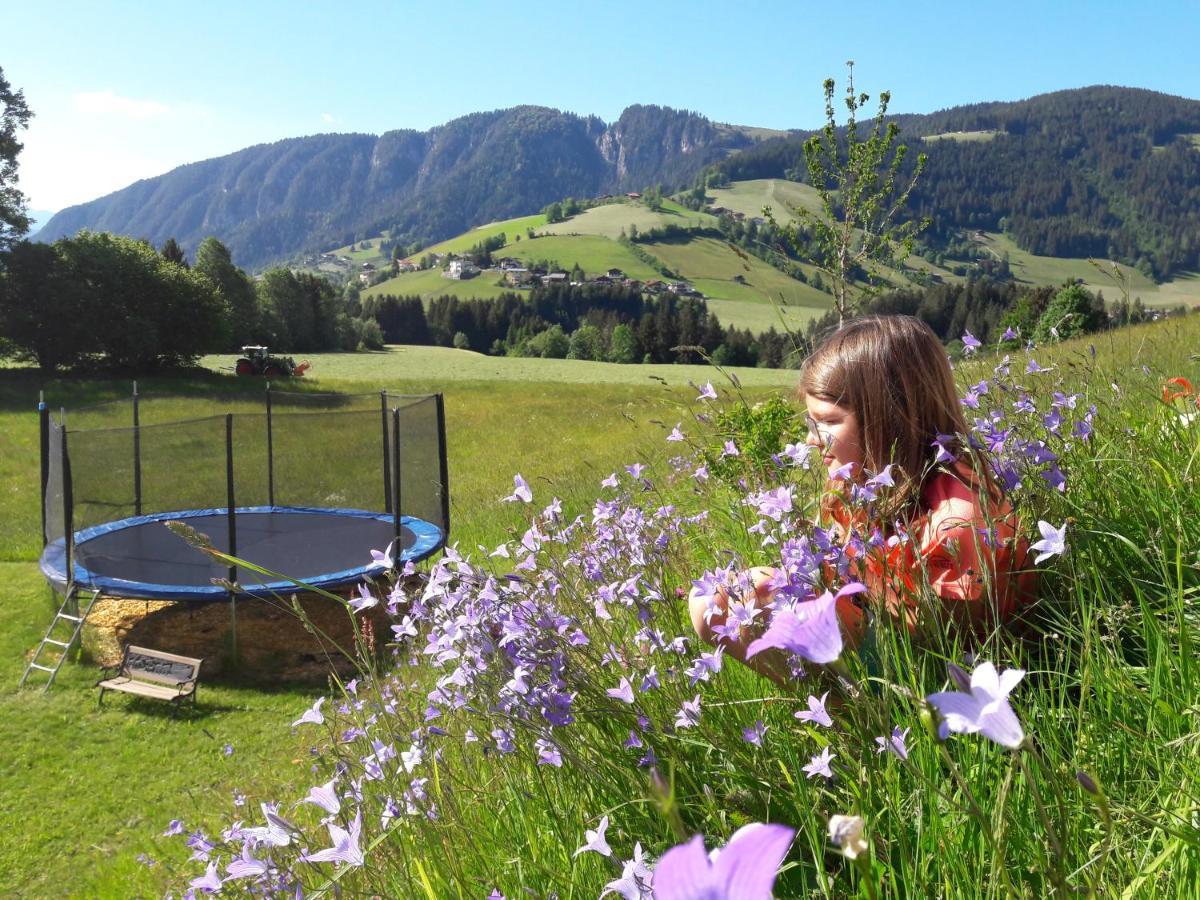Appartements Alpenschloessl 奥伯劳 外观 照片
